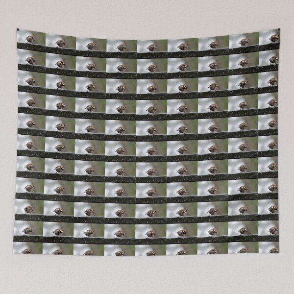 Item preview, chaffinch designed and sold by KathleenDawson.