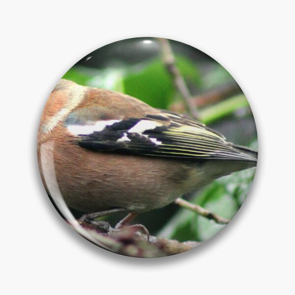 Item preview, chaffinch designed and sold by KathleenDawson.