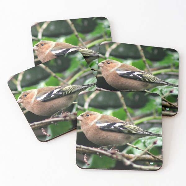 Item preview, chaffinch designed and sold by KathleenDawson.