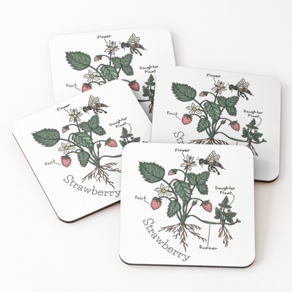 Item preview, Strawberry Plant Diagram Illustration  designed and sold by ColordCreations.