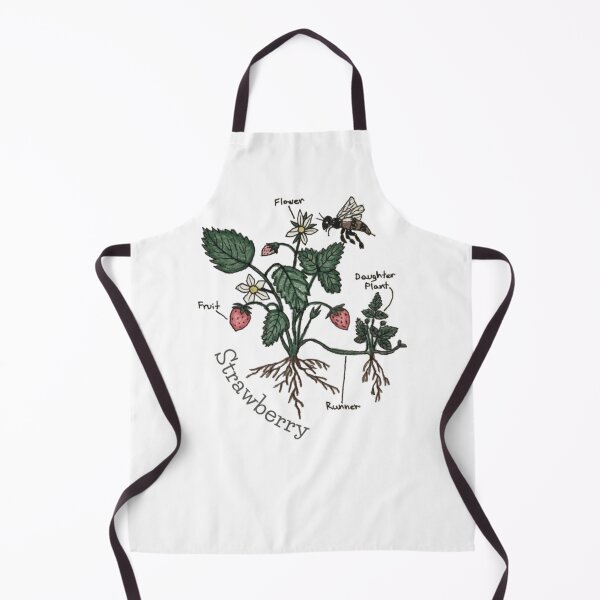 Item preview, Strawberry Plant Diagram Illustration designed and sold by ColordCreations.