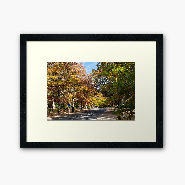 Item preview, Honour Avenue, Mount Macedon, Victoria, Australia. designed and sold by Vicki Walsh.
