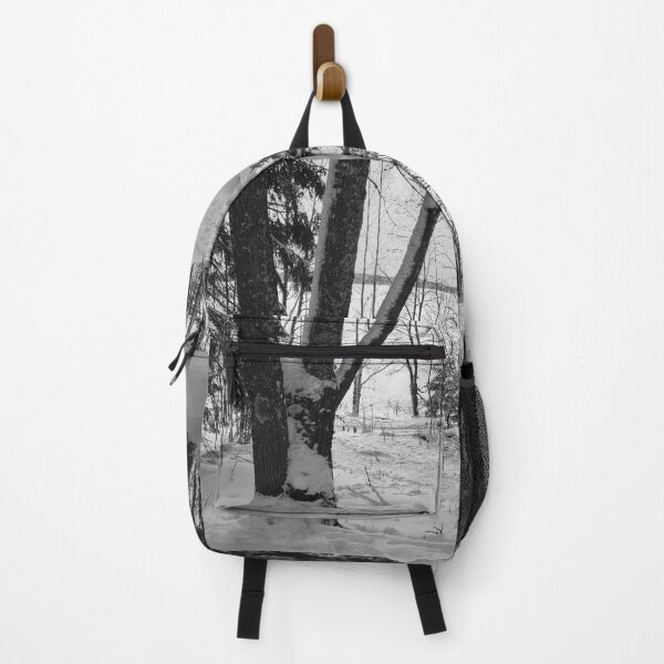 Item preview, Last morning of 2023 number 2 bw designed and sold by Jouko Lehto Photography.