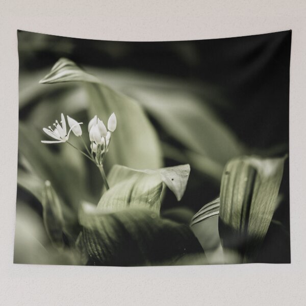 Item preview, Spring Starburst designed and sold by Jason Smalley.