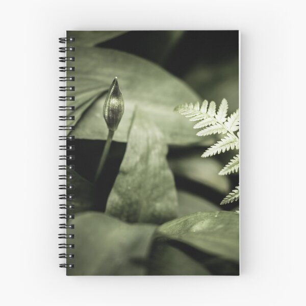 Item preview, Reaching to the Light designed and sold by Jason Smalley.