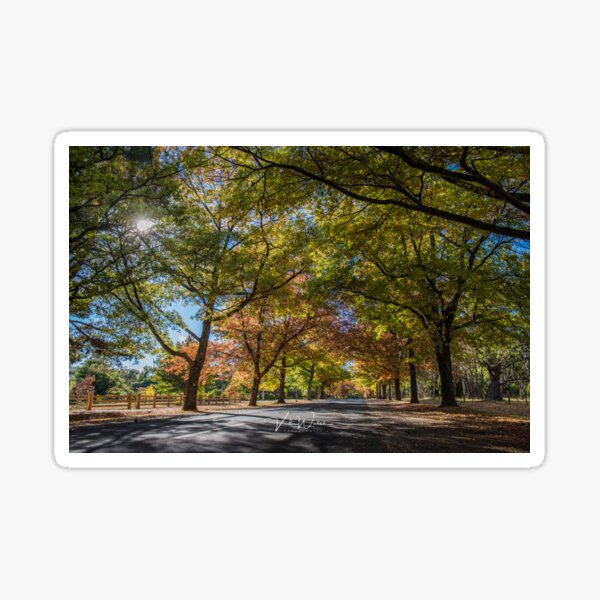 Item preview, Honour Avenue, Mount Macedon, Victoria, Australia. designed and sold by Vicki Walsh.