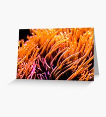 Sea Life! Greeting Card