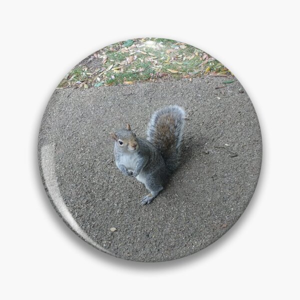 Item preview, #316 |☼| Squirrel Stare (Jephson Gardens) designed and sold by Naean H.F. (Nez Man).