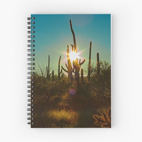Item preview, Saguaro Sunstar designed and sold by Brad Chambers.