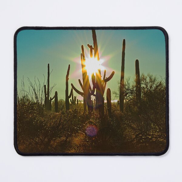 Item preview, Saguaro Sunstar designed and sold by Brad Chambers.