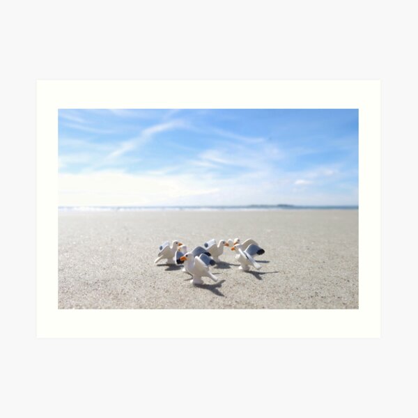 Meanwhile, on a nearby beach, birds. Art Print