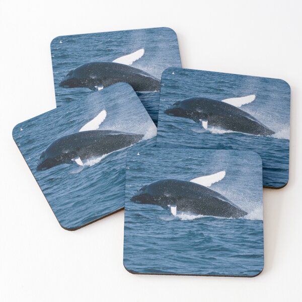 Item preview, Humpback Whale - Newfoundland, Canada designed and sold by Raymond J Barlow.
