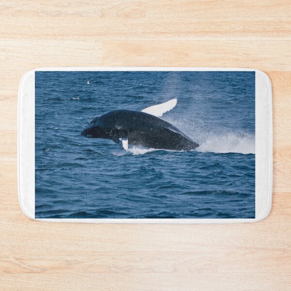 Item preview, Humpback Whale - Newfoundland, Canada designed and sold by Raymond J Barlow.
