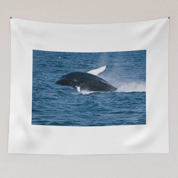 Item preview, Humpback Whale - Newfoundland, Canada designed and sold by Raymond J Barlow.