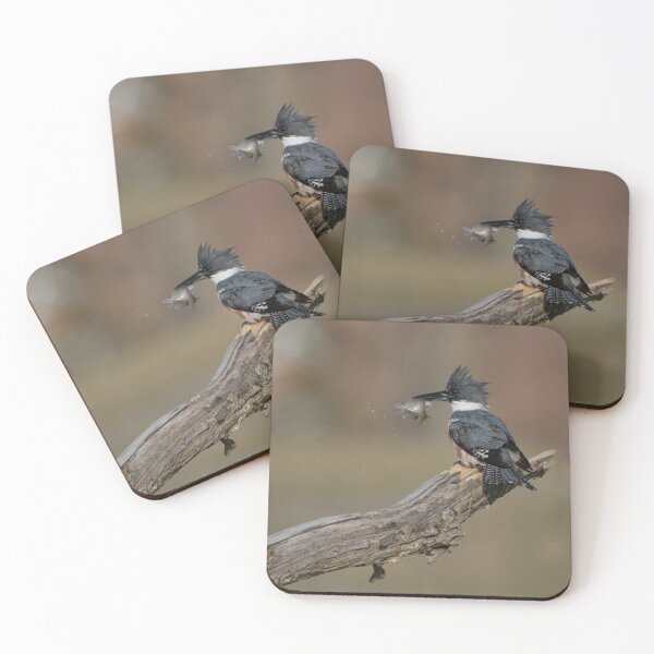 Item preview, Belted Kingfisher - Stoney Creek Ontario, Canada designed and sold by Raymond J Barlow.