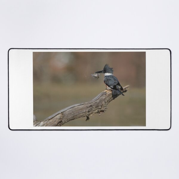 Item preview, Belted Kingfisher - Stoney Creek Ontario, Canada designed and sold by Raymond J Barlow.