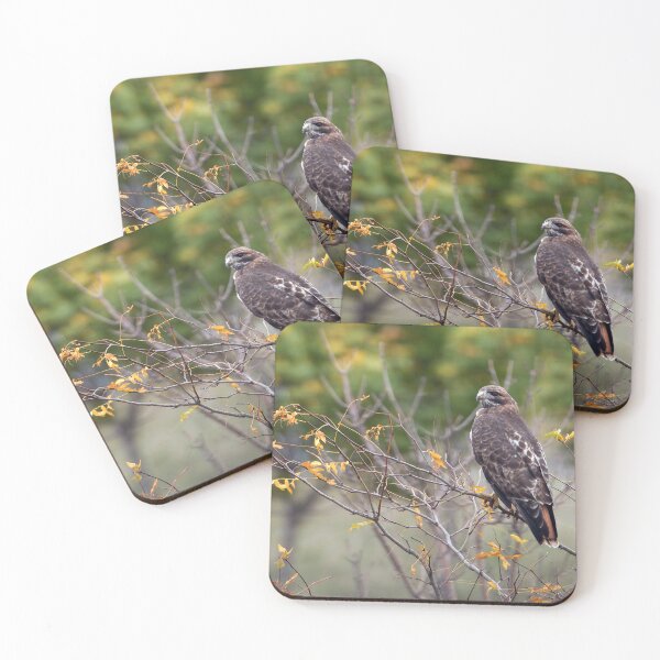 Item preview, Red-tailed Hawk Hunting designed and sold by Raymond J Barlow.