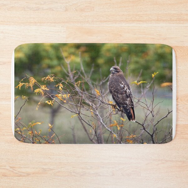 Item preview, Red-tailed Hawk Hunting designed and sold by Raymond J Barlow.