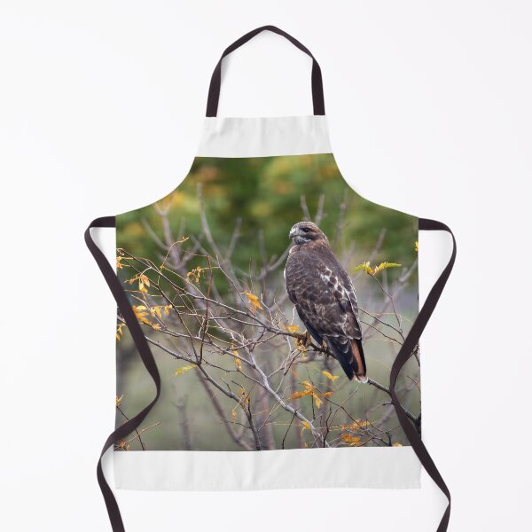 Item preview, Red-tailed Hawk Hunting designed and sold by Raymond J Barlow.