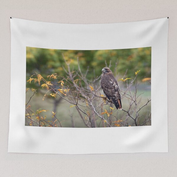 Item preview, Red-tailed Hawk Hunting designed and sold by Raymond J Barlow.