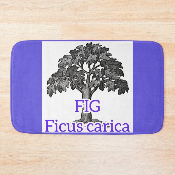 Item preview, Fig Tree designed and sold by Lar888.