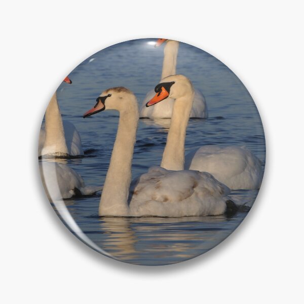 Item preview, Mute Swan Family designed and sold by Raymond J Barlow.