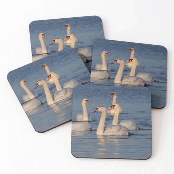 Item preview, Mute Swan Family designed and sold by Raymond J Barlow.