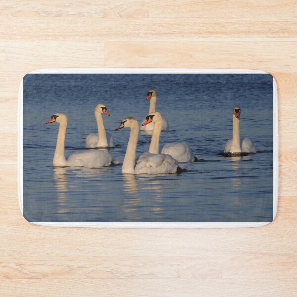 Item preview, Mute Swan Family designed and sold by Raymond J Barlow.