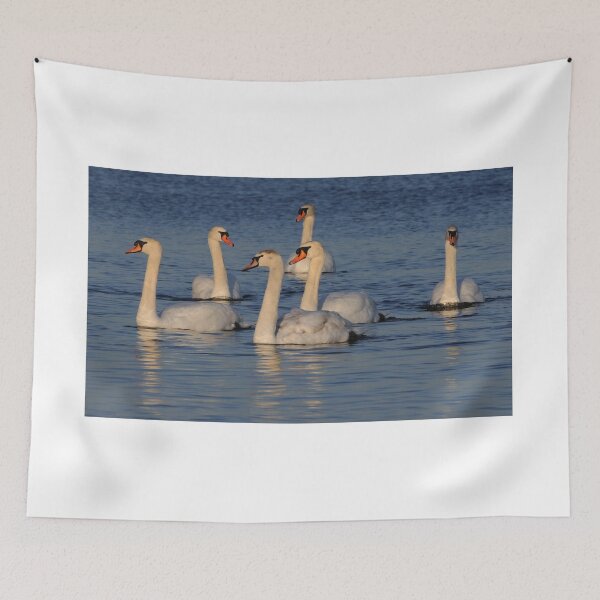 Item preview, Mute Swan Family designed and sold by Raymond J Barlow.