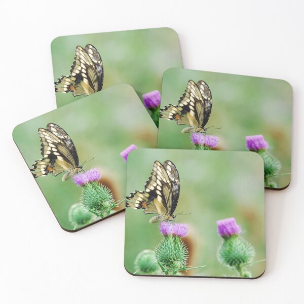 Item preview, Swallow-tail Butterfly - Niagara Ontario, Canada designed and sold by Raymond J Barlow.