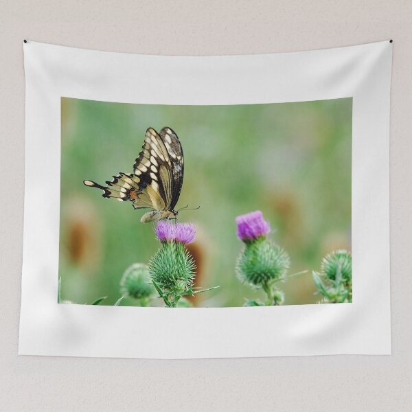 Item preview, Swallow-tail Butterfly - Niagara Ontario, Canada designed and sold by Raymond J Barlow.