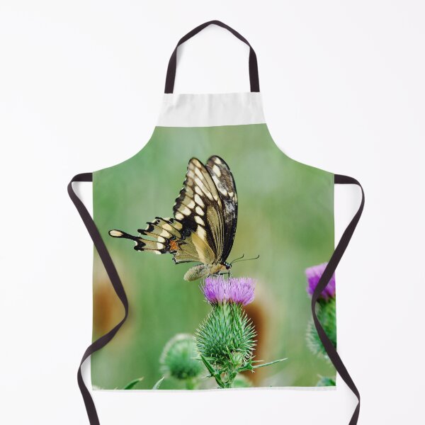 Item preview, Swallow-tail Butterfly - Niagara Ontario, Canada designed and sold by Raymond J Barlow.