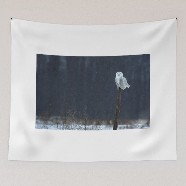 Item preview, Snowy Owl -  Ontario Canada designed and sold by Raymond J Barlow.