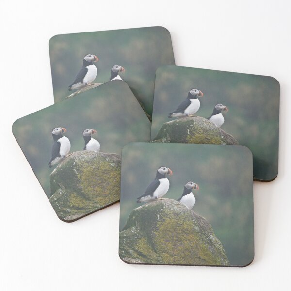 Item preview, Atlantic Puffins - Newfoundland Canada designed and sold by Raymond J Barlow.
