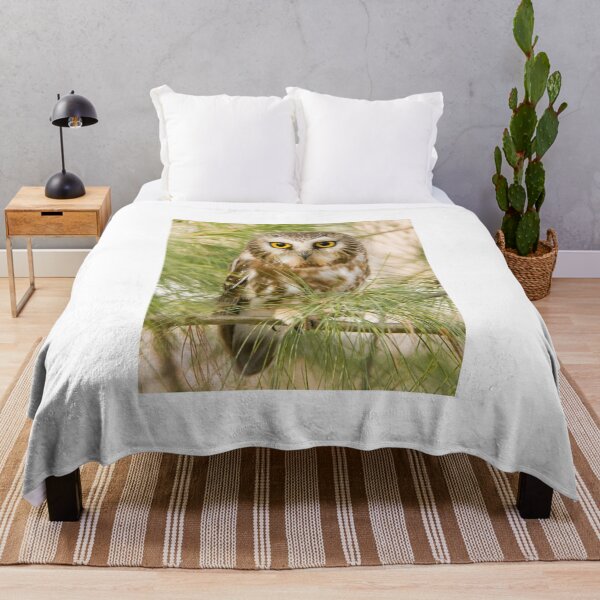 Item preview, Saw-whet Owl - Ontario, Canada designed and sold by Raymond J Barlow.