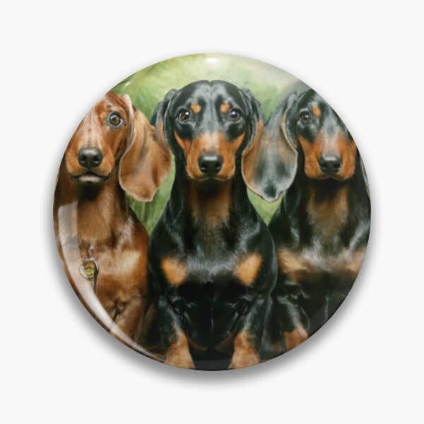Item preview, Enchanted Doxies VI designed and sold by TheDoxies.