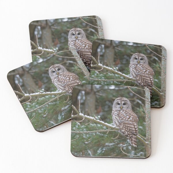 Item preview, Barred Owl - Ontario Canada designed and sold by Raymond J Barlow.