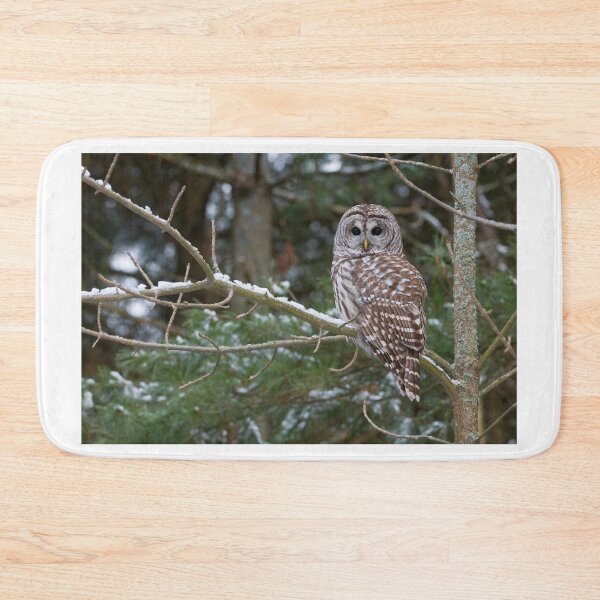 Item preview, Barred Owl - Ontario Canada designed and sold by Raymond J Barlow.