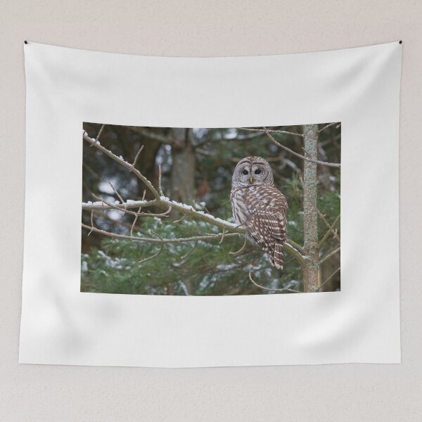 Item preview, Barred Owl - Ontario Canada designed and sold by Raymond J Barlow.
