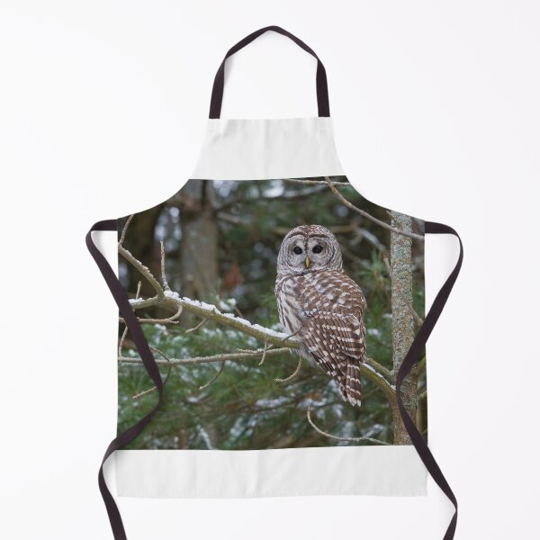Item preview, Barred Owl - Ontario Canada designed and sold by Raymond J Barlow.