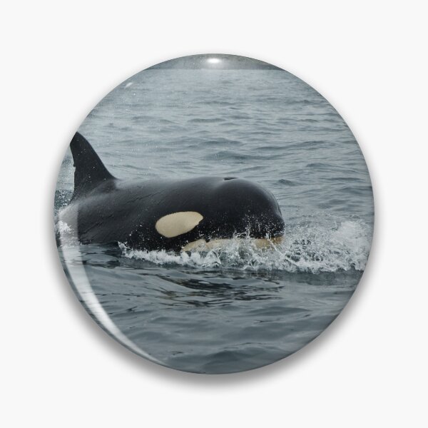 Item preview, Orca - Newfoundland, Canada designed and sold by Raymond J Barlow.
