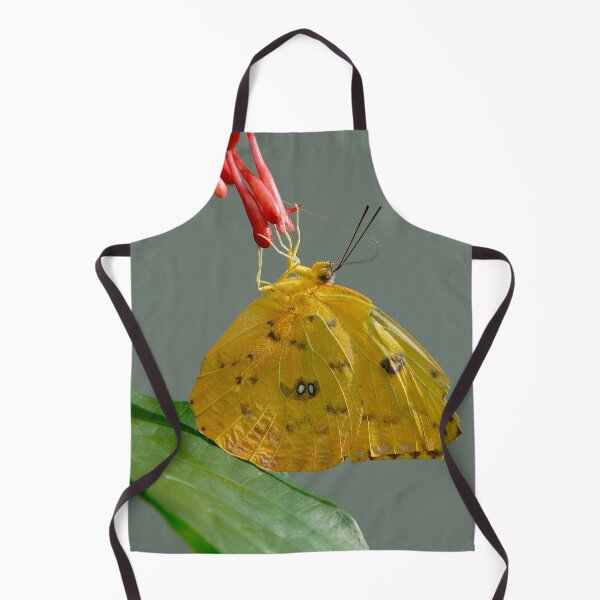 Item preview, Sweet Butterfly designed and sold by Raymond J Barlow.