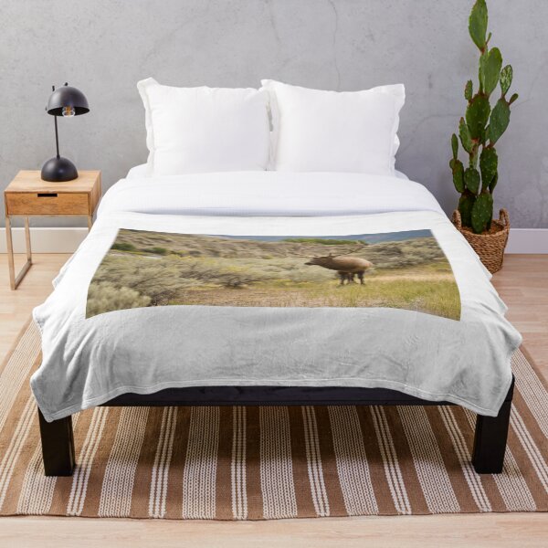 Item preview, Yellowstone Elk - Yellowstone National Park designed and sold by Raymond J Barlow.