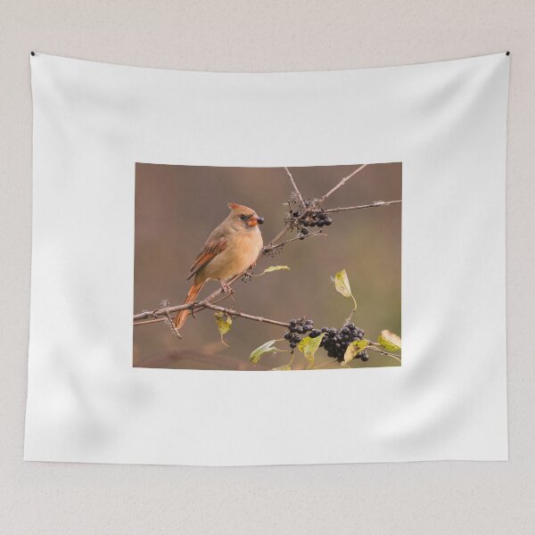 Item preview, Female Northern Cardinal - Ontario Canada designed and sold by Raymond J Barlow.