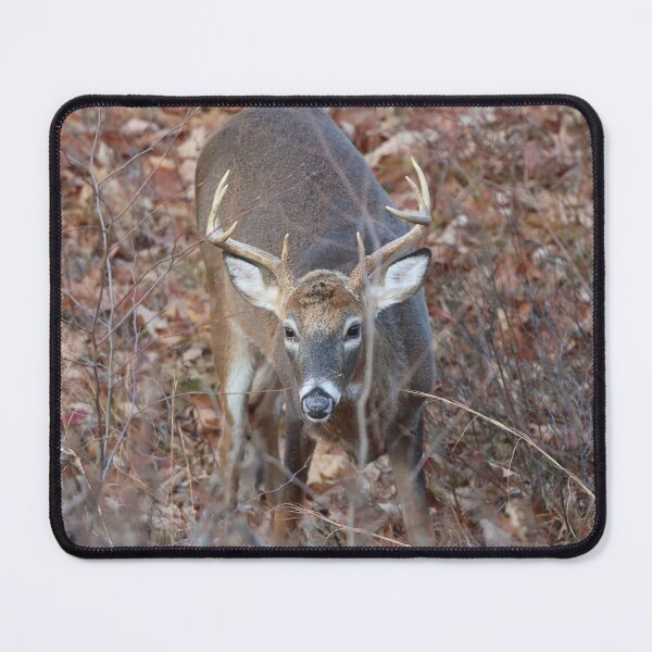 Item preview, Whitetail Buck Encounter designed and sold by LisaNaturePhoto.