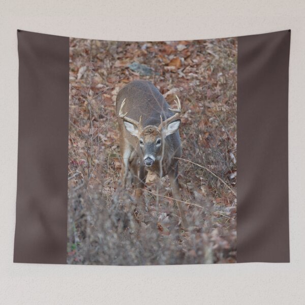 Item preview, Whitetail Buck Encounter designed and sold by LisaNaturePhoto.