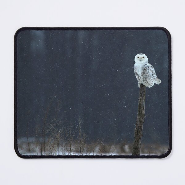Item preview, Snowy Owl - Ontario Canada designed and sold by Raymond J Barlow.