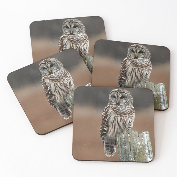 Item preview, Barred Owl  2 - Ontario Canada designed and sold by Raymond J Barlow.