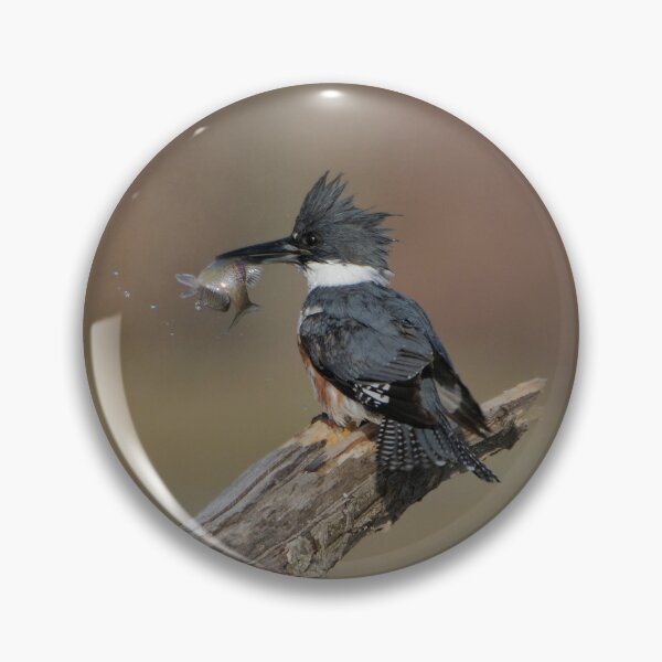 Item preview, Belted Kingfisher - Stoney Creek Ontario, Canada designed and sold by Raymond J Barlow.