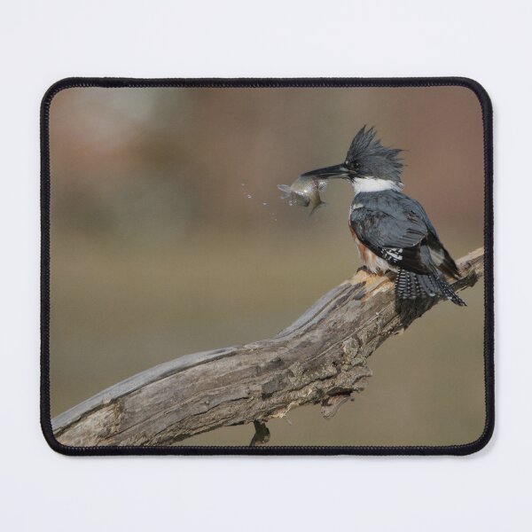 Item preview, Belted Kingfisher - Stoney Creek Ontario, Canada designed and sold by Raymond J Barlow.